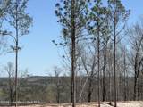  22 +/- Acres Jacksons Gap Way - Photo 10
