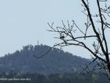  22 +/- Acres Jacksons Gap Way - Photo 13
