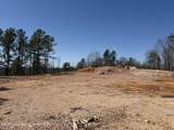  22 +/- Acres Jacksons Gap Way - Photo 5