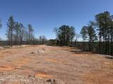  22 +/- Acres Jacksons Gap Way - Photo 6