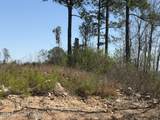  22 +/- Acres Jacksons Gap Way - Photo 8