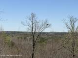  22 +/- Acres Jacksons Gap Way - Photo 9