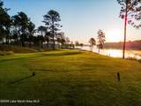 115 Luanne's Point - Photo 17