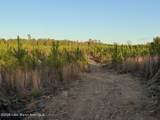  Lot #2 Germany's Ferry Rd - Photo 10