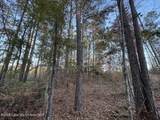  Lot #2 Germany's Ferry Rd - Photo 12