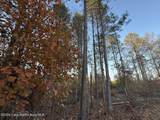  Lot #2 Germany's Ferry Rd - Photo 13