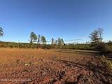  Lot #2 Germany's Ferry Rd - Photo 3