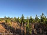  Lot #2 Germany's Ferry Rd - Photo 5