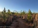  Lot #2 Germany's Ferry Rd - Photo 6