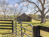 398 Abrams Rd - Photo 57