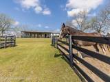398 Abrams Rd - Photo 64