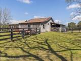 398 Abrams Rd - Photo 65