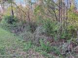  11.6 Acres Hwy 34/ Lockhart Rd - Photo 10