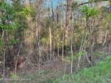  11.6 Acres Hwy 34/ Lockhart Rd - Photo 9