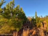  Lot #3 Germany's Ferry Rd - Photo 2