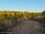  Lot #3 Germany's Ferry Rd - Photo 3