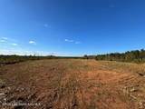  Lot #3 Germany's Ferry Rd - Photo 6