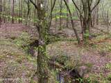 2058 County Road 91 - Photo 28
