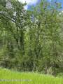 8 Acres Highway 22 - Photo 6