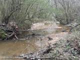  Coosa County Road 81 - Photo 3