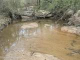  Coosa County Road 81 - Photo 4