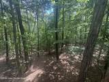  Long Branch Dr - Photo 11
