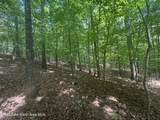  Long Branch Dr - Photo 12