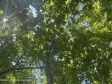  Long Branch Dr - Photo 20