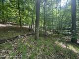  Long Branch Dr - Photo 8