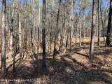 Lot 15 Big Buck Ln - Photo 1