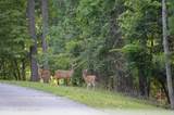 Lot 15 Big Buck Ln - Photo 13