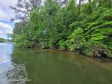  11.55 Acres Williams Rd - Photo 5