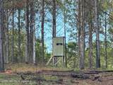 43+/- AC Barrons Bridge Rd - Photo 1