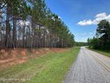 43+/- AC Barrons Bridge Rd - Photo 11