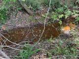 43+/- AC Barrons Bridge Rd - Photo 4
