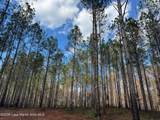 43+/- AC Barrons Bridge Rd - Photo 5