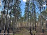 43+/- AC Barrons Bridge Rd - Photo 6