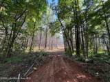 43+/- AC Barrons Bridge Rd - Photo 8
