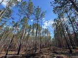 16+/- AC Barrons Bridge Rd - Photo 6