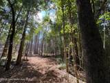 32+/- AC Barrons Bridge Rd - Photo 10