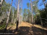 32+/- AC Barrons Bridge Rd - Photo 11