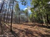 32+/- AC Barrons Bridge Rd - Photo 12