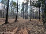 32+/- AC Barrons Bridge Rd - Photo 14