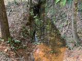 32+/- AC Barrons Bridge Rd - Photo 3