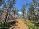 32+/- AC Barrons Bridge Rd - Photo 4