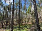 32+/- AC Barrons Bridge Rd - Photo 5