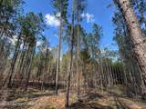 32+/- AC Barrons Bridge Rd - Photo 6