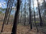 32+/- AC Barrons Bridge Rd - Photo 9