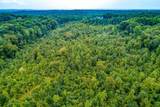  +/- 81 Acres - Photo 49
