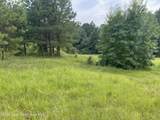 680 Obed Loop - Photo 4